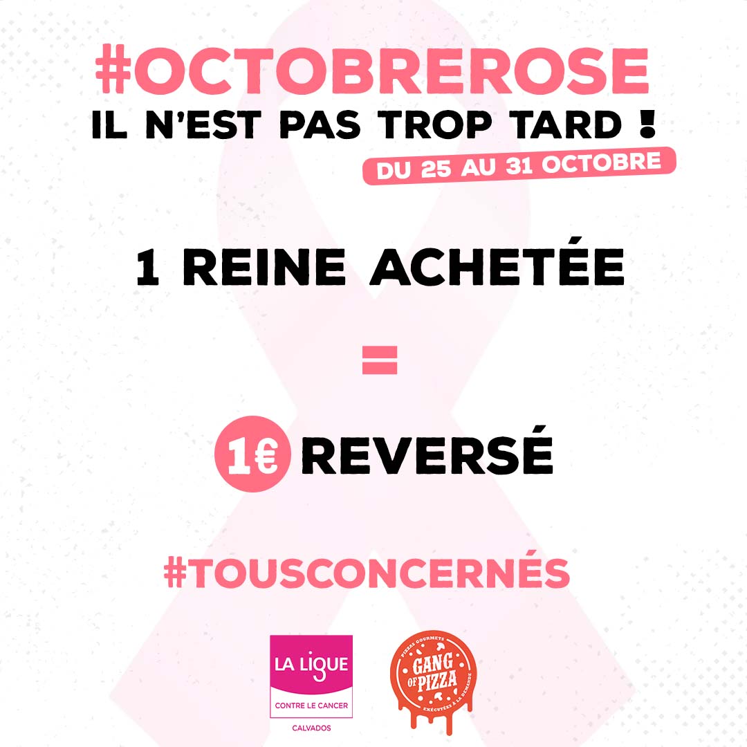 GANG-OF-PIZZA-DISTRIBUTEURS-AUTOMATIQUES-SENGAGE-OCTOBRE-ROSE